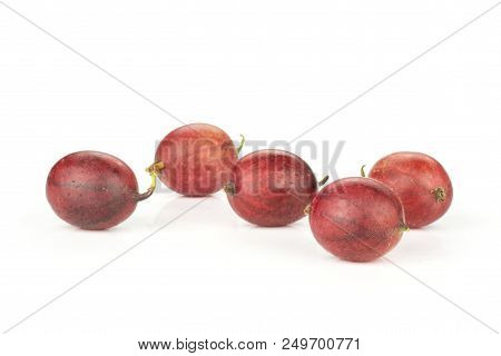 Group Of Five Whole Fresh Red Gooseberry Hinnomaki Variety Isolated On White