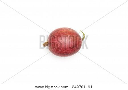 One Whole Fresh Red Gooseberry Hinnomaki Variety Flatlay Isolated On White