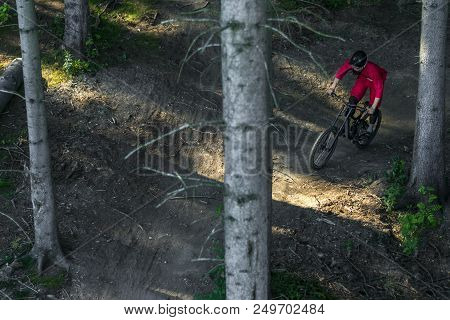 Mountain Biker In Red Jersey. Forest Mountain Biking Trail. Downhill, Frerride, Bikepark, Extreme Sp