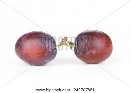 Group Of Two Whole Fresh Violet-blue Plum Vibrant Moyer Variety Isolated On White