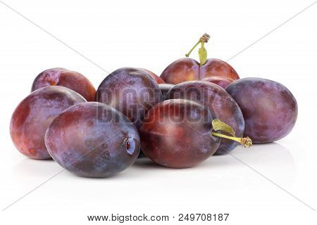 Lot Of Whole Fresh Violet-blue Plum Vibrant Moyer Variety Isolated On White