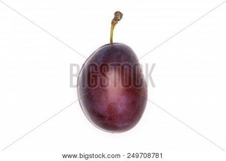 One Whole Fresh Violet-blue Plum Vibrant Moyer Variety Flatlay Isolated On White