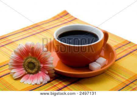 เครื่องดื่มใหม่วัน