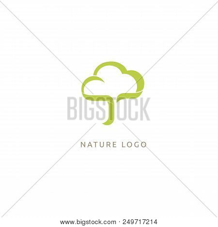 Vector Illustration, Graphic Design Editable Design. Tree, Fir-tree, Wood Oakweb Icon