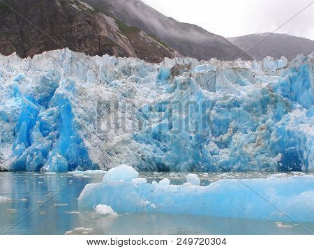 Tracy Arm's Fjord Glacier Terror Wildlife. Southeastern Alaska, Usa
