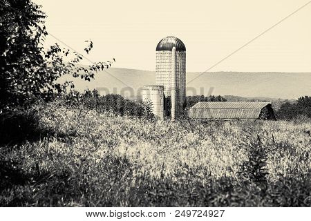 Black And White Photo Of A Landscape With A Silo And Barn In The Distance Near Rectortown Virginia I