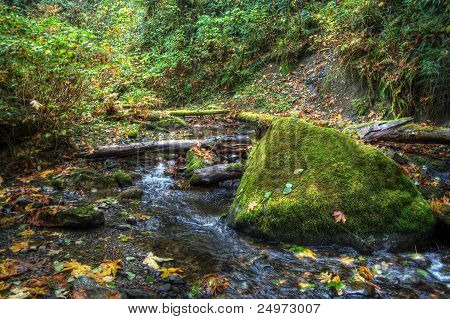 Bellinghamův záliv