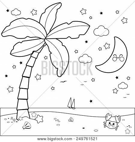 66+ Palm Beach Coloring Book Best HD