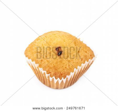 Chocolate Corn Muffin Isolated Over The White Background