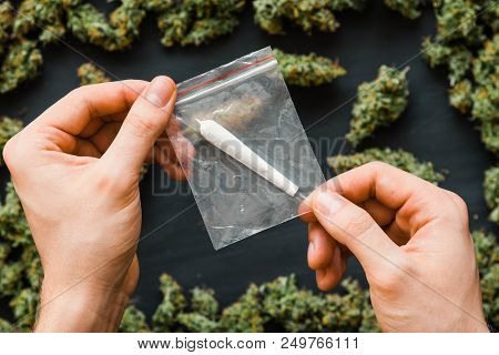 Grinder A Lot Ofx Marijuana, Fresh Buds Of Cannabis Many Weed. Copy Spase Copy-space