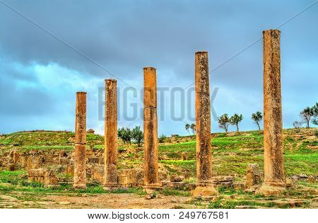Timgad, Ruins Of A Roman-berber City, Unesco Heritage In Algeria.