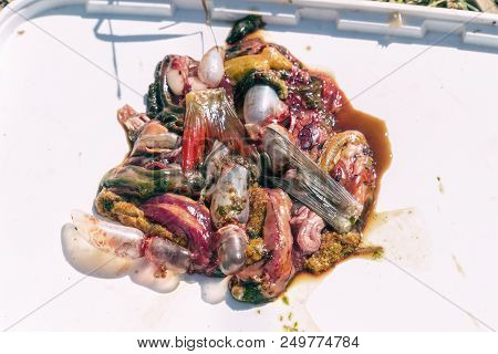 Fish Guts Offal On White. Selective Focus
