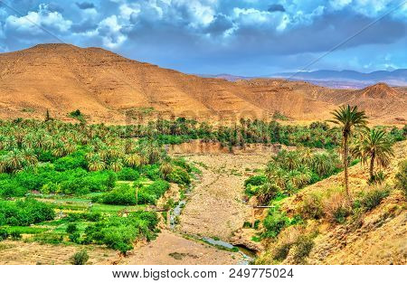 Landscapes Of Batna Province In Algeria. North Africa