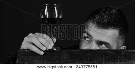 Man With Beard Holds Glass Of Red Wine On Dark Brown Background. Degustator With Hidden Face Behind 