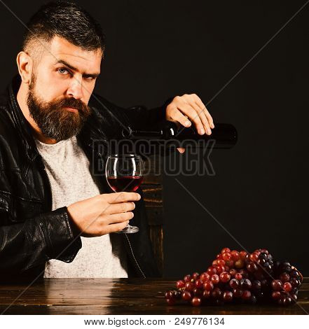 Man With Beard Pours Wine Into Glass On Dark Brown Background. Sommelier Tastes Expensive Drink. Win