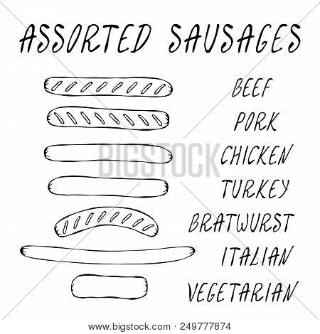 Set Of Assorted Sausages For Fast Food, Restaurant Or Bar Menu. Hand Drawn High Quality Clean Vector
