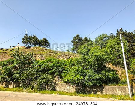 A Beautiful View Of The Hillock With Blossoming Trees In The Green Grass Against The Sky.