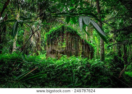 A House In Tropical Forest In Indonesia