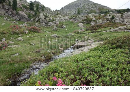 Lagorai Mountain Range In The Eastern Alps In Trentino, Italy
