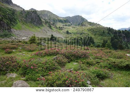 Lagorai Mountain Range In The Eastern Alps In Trentino, Italy