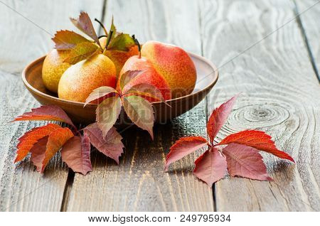 Pears. Collecting Pears. Fresh Ripe Pears In A Clay Plate With Autumn Leaves On A Wooden Table. Pear