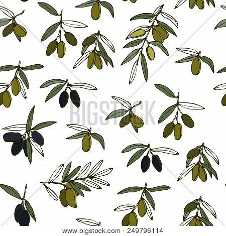 Seamless Olive Branch Pattern. Hand Drawn Background. Stock Vector