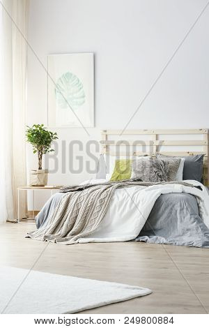Poster Of Monstera Deliciosa Leaf Hanging On The Wall In Bright Bedroom Interior With Fresh Plant On