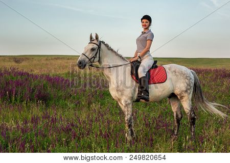 Horsewoman Jockey In Uniform Riding Horse Outdoors. Sunset. Horseback Riding. Competition. Hobby