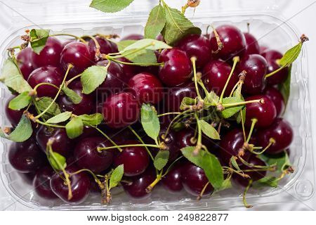 Top View Of Red Ripe Cherries With Green Leaves, Close-up