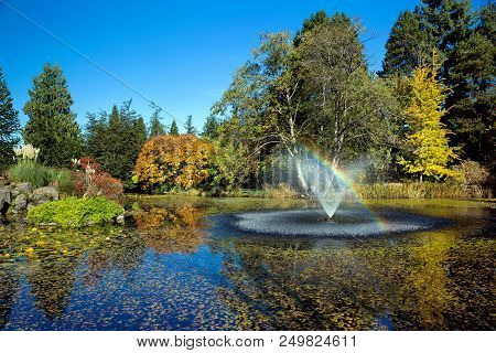 Pond With Fountain Invan Dusen Park,  Sunny  Autumn Day Rainbow In Fountain  Colorful View, Green An