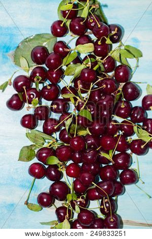 Close Up Of Pile Of Ripe Cherries With Stalks And Leaves On Blue Wooden Background.