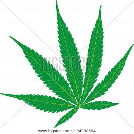 대 마