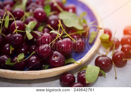 Close Up Of Pile Of Ripe Cherries With Stalks And Leaves.