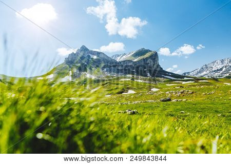 Splendid summer day in the Durmitor National park. Location place Sedlena Greda, village Zabljak, Montenegro, Balkans, Europe. Scenic image of popular travel destination. Discover the beauty of earth.