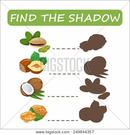 Find The Right Shade Nuts. Set To Find The Right Shadow Matching Educational Baby Game To Compare An