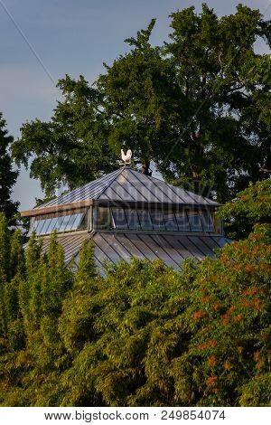 Glass Roofs Of The Botanic Garden In The Center Of The Leiden