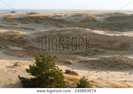 Sand Dune At Sunset, The Sea, The Hills Of Sand In The Sunlight