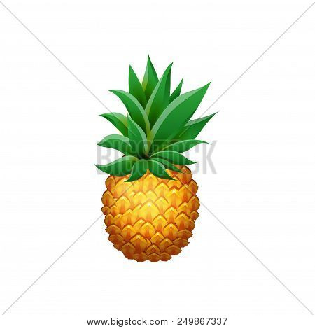 Realistic Pineapple Isolated On White Background. Cartoon Flesh Juicy Tropical Fruit For Summer Desi