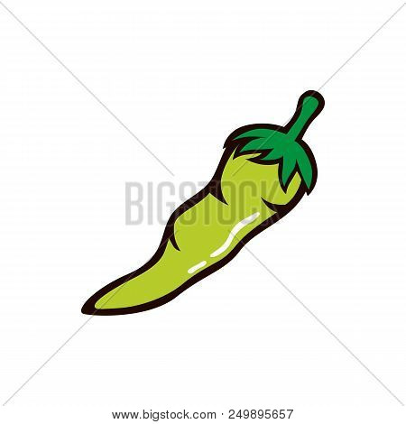 Green Chili Vector Illustration Isolted On White Background