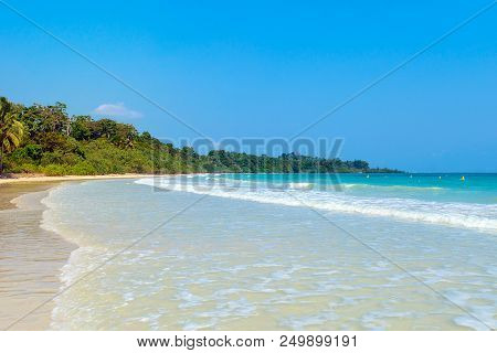 Tropical Stretched Out White Sand Beach And Palm Trees With Blue Colored Ocean Seashore Water In The