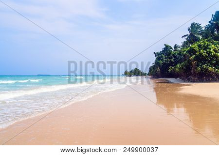 Stunning View Of Long Island Beach, Beautiful Tree In The Sea Water, Andaman Nicobar Islands. Holida