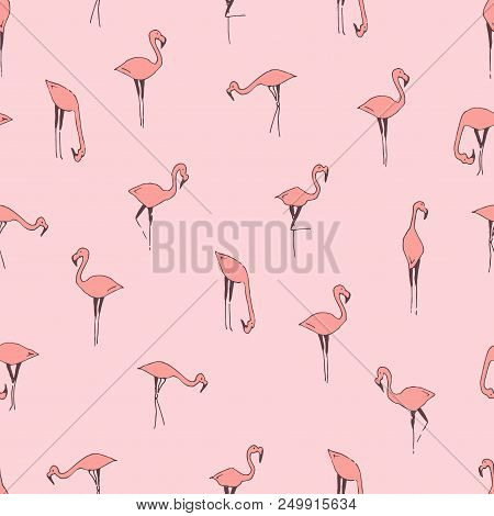 Flamingo Pink Hand Drawn Vector Seamless Pattern
