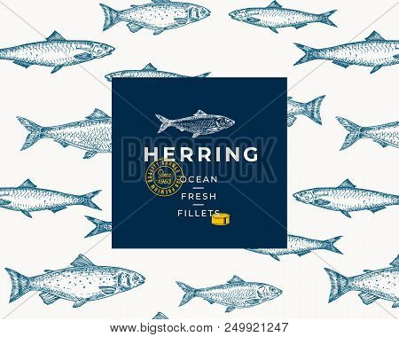 Hand Drawn Fish Vector Background Pattern. Abstract Package Sketch Card Or Cover Template With Trend