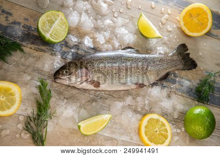 Preparation Of Trout, Sliced Lemon And Green Rosemary. Cooking Food On Wooden Board