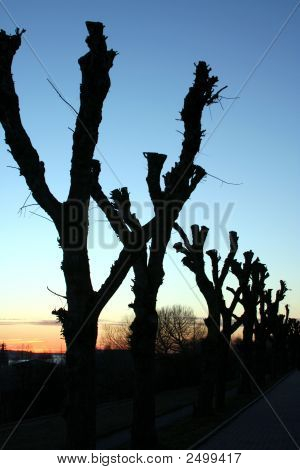 Sonnenuntergang