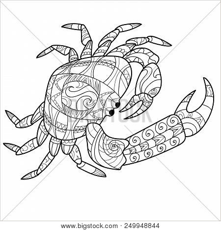 Crab Pattern, Coloring Book, Page, Animal, Pattern. Vector Illustration
