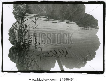 A Sheet Of Geranium Close-up And A Landscape With A Pond. Multiple Exposure. Attention! The Image Co