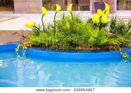 Flowers By The Pool. Typicla Hibiscus Flowers In Gran Canaria By A Pool Side