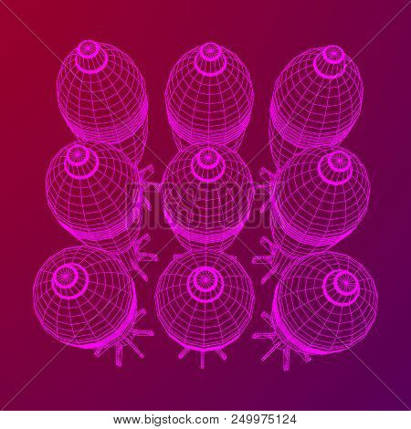 Missile, Nuclear Bomb Or Mortar Mine Wireframe Low Poly Mesh Vector Illustration