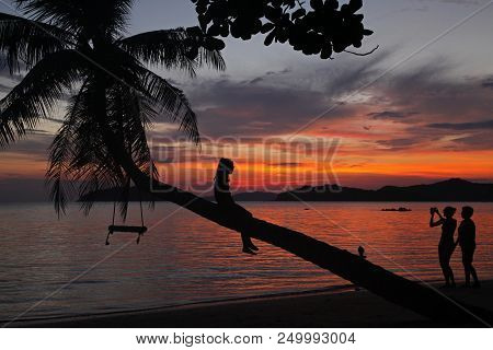 Koh Mak Island, Trad, Thailand, October 19, 2017, Swing Or Cradle Hang On The Coconut Tree Shadow  B